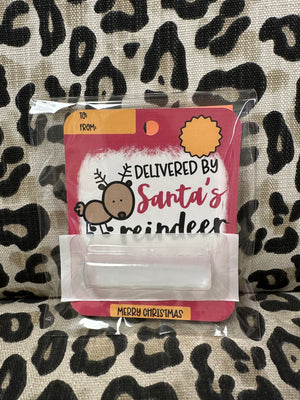 Money Cards- "Delivered By Santa's Reindeer"