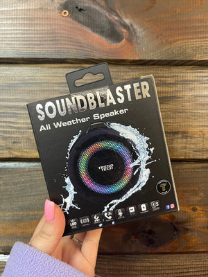 SoundBlaster- All Weather Speaker